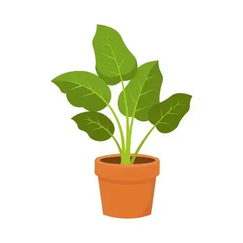 Plant Discreet