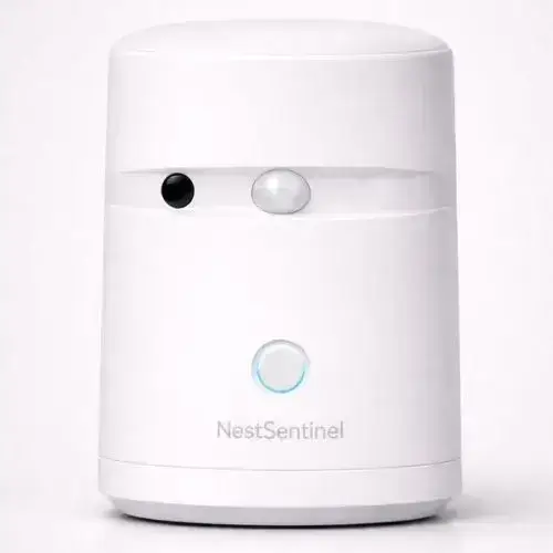 RoomGuardian by NestSentinel AI-powered safety solution