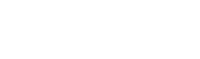 Logo BPI - Servir Avenir Tech Blanc